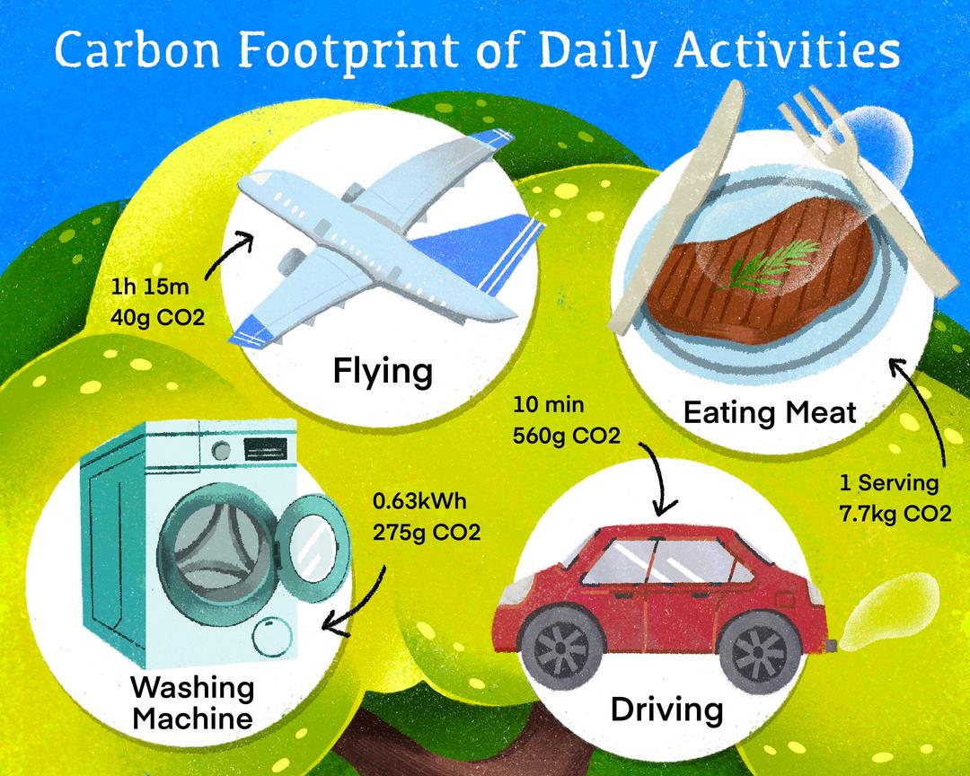 Infographic 2illustration